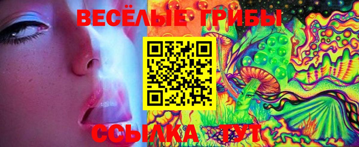 Псилоцибиновые грибы Psilocybe Россия