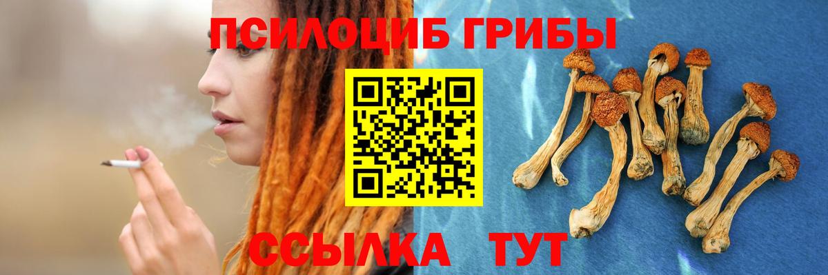 Россия  Галлюциногенные грибы Psilocybine cubensis  продажа наркотиков  Вход с VPN 